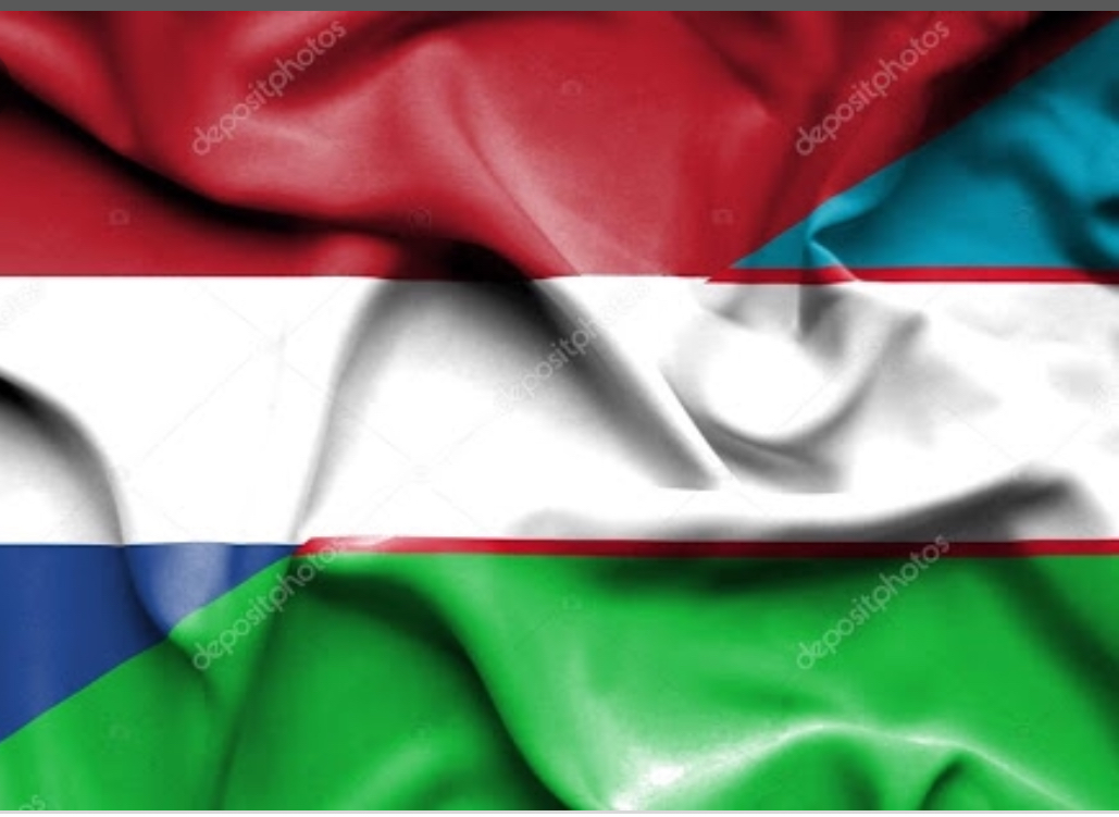 Hollanda Özbekistan’a Yatırım Yapmaya Hazır