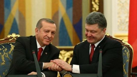 Krım Ukrayna qədər Türkiyə üçün də qırmızı çizgidir