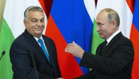 Kamal Aliyev: Macarıstanda seçkinin qalibi Viktor Orbandır