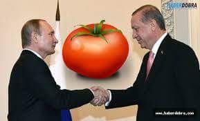 Rusya’nın fendi domatesi yendi!