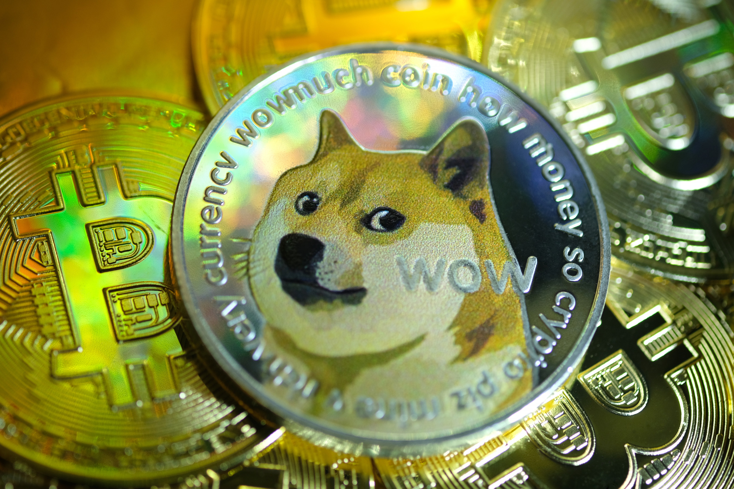The Difference Between Dogecoin and Other Cryptocash