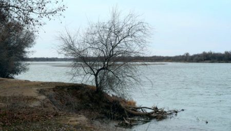 Уровень воды в Сырдарье приблизился к критическому